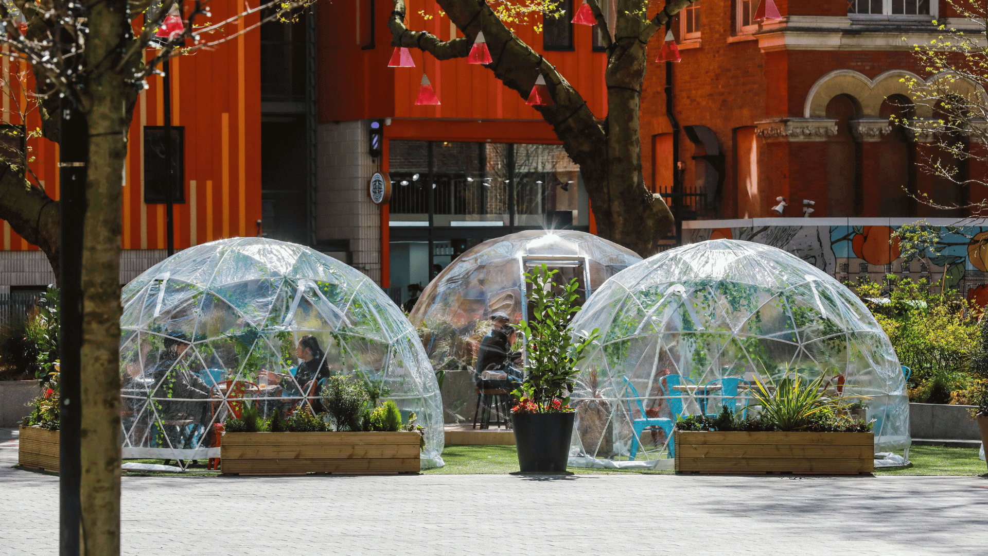 World-class theatre & culture Image