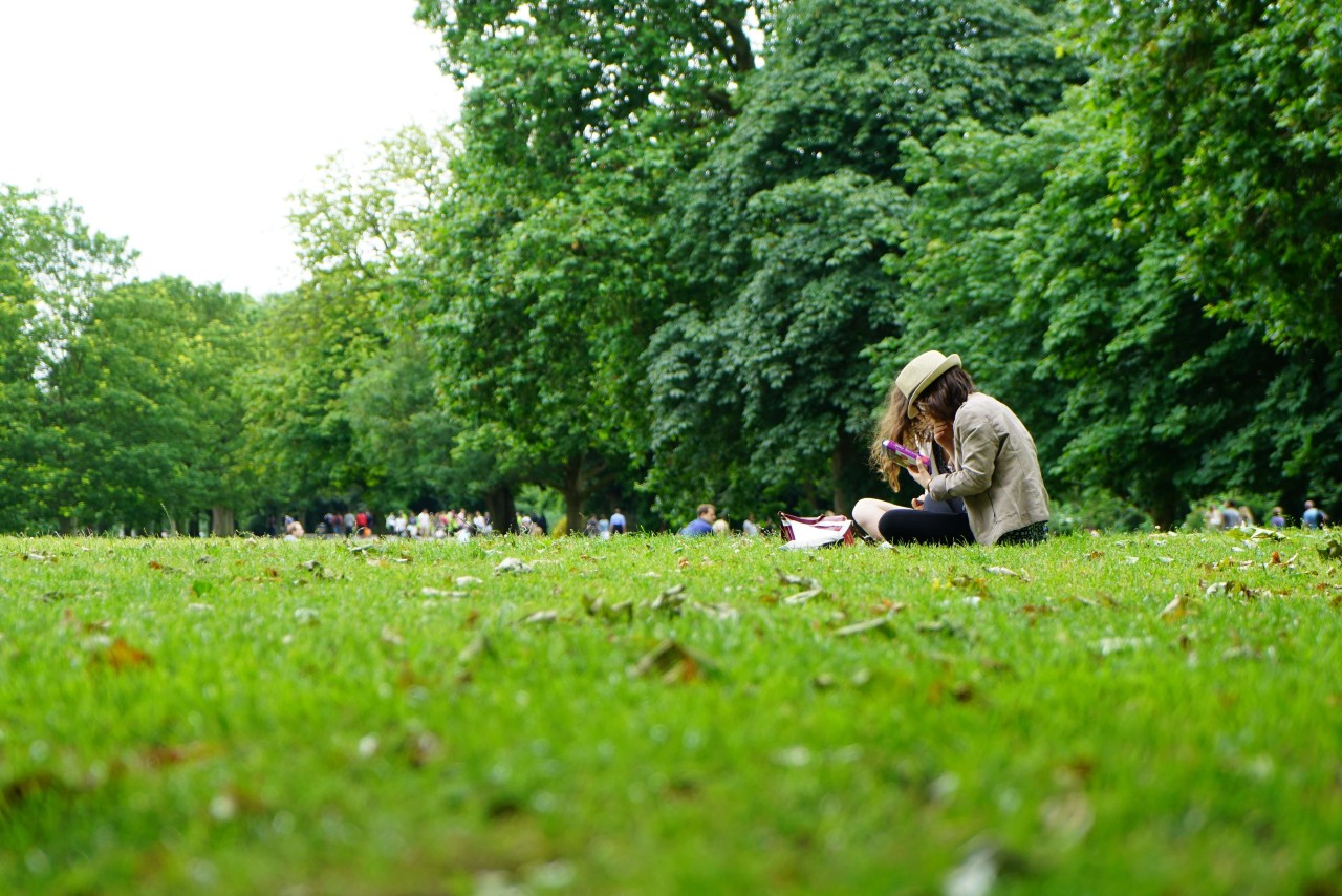 people sitting in Elephant Park