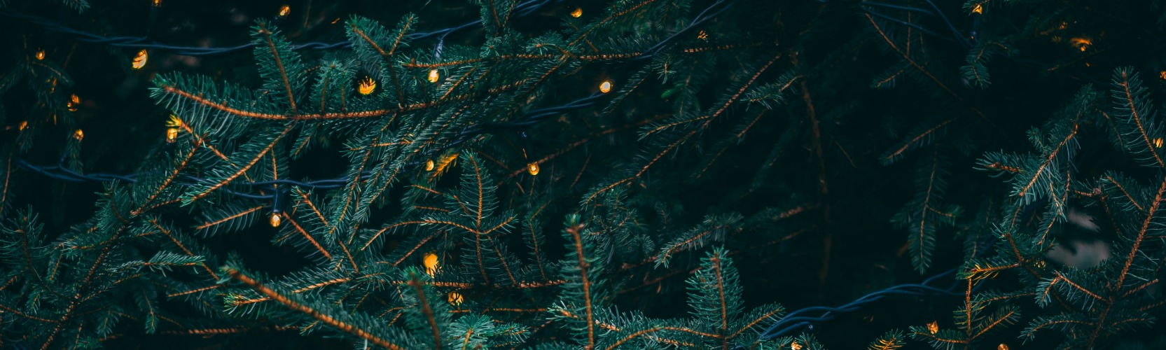 Christmas_HBL.jpg