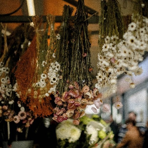 Shambles market 500x500.jpg