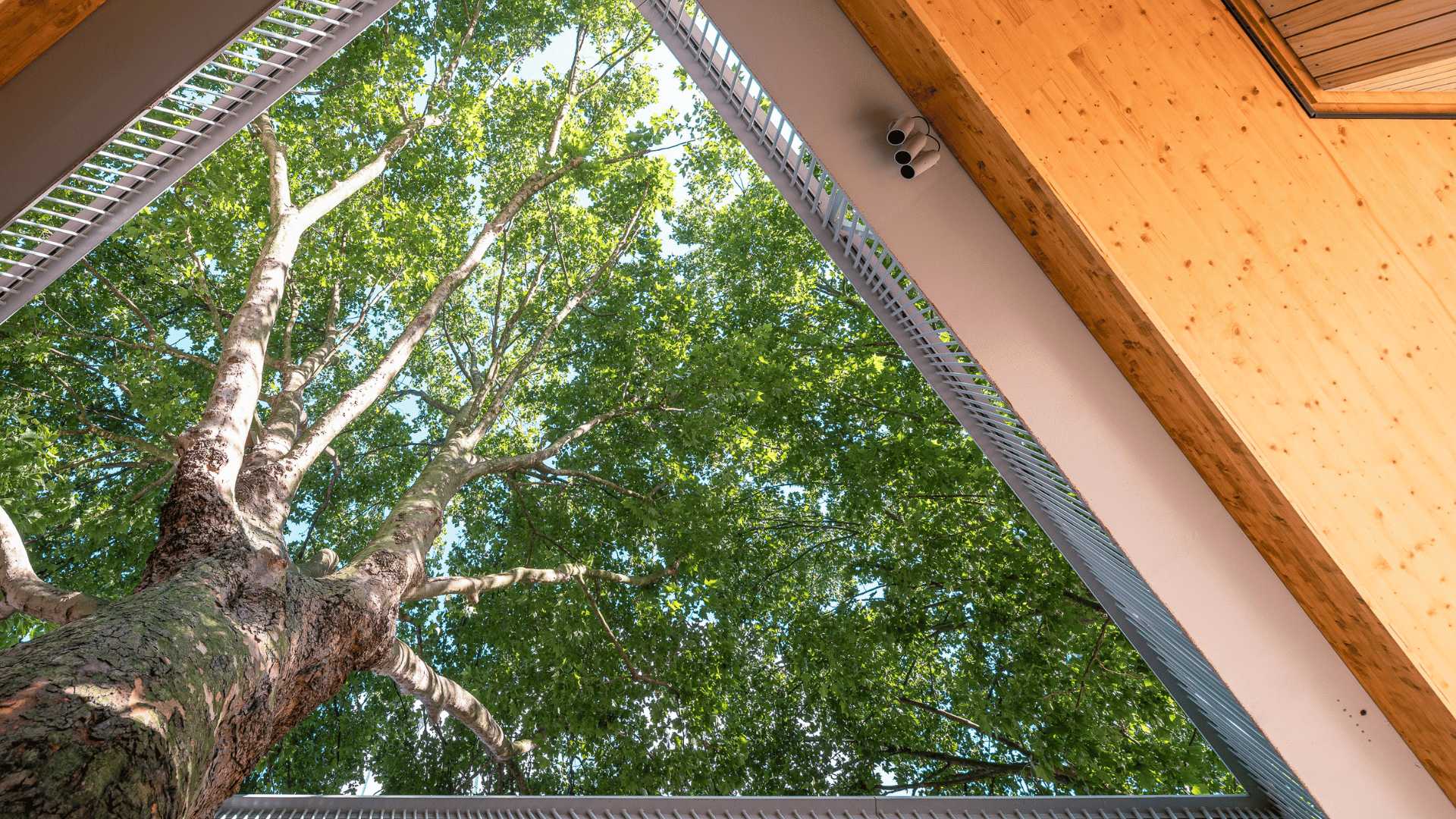 Building the future, today Image